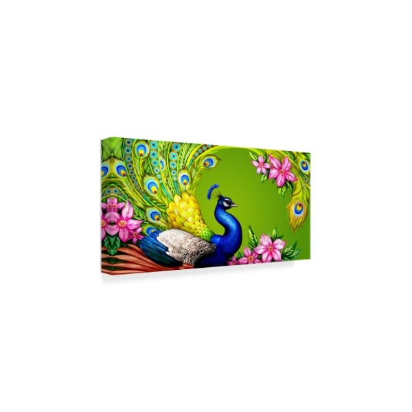 Maria Rytova 'Gorgeous Peacock' Canvas Art,16x32